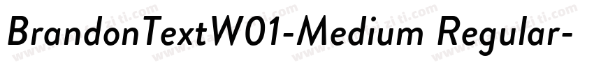 BrandonTextW01-Medium Regular字体转换